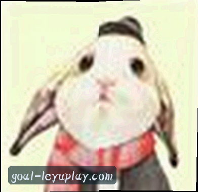 数据运维 小陈